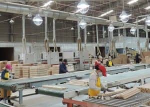 Dự án nhà máy gỗ Đại Thành