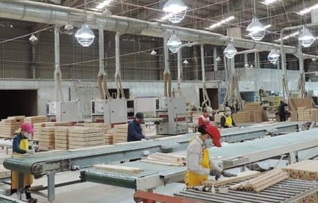 Dự án nhà máy gỗ Đại Thành