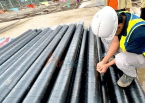 DỰ ÁN KHO LẠNH NICHIREI TÂN BẢO AN LOGISTICS VIỆT NAM